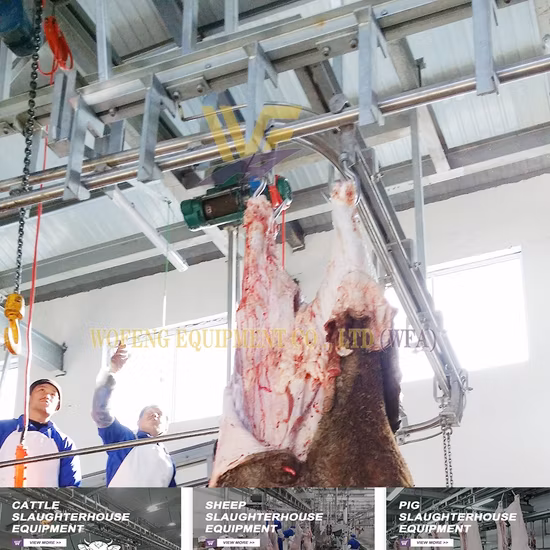 Le cadre de levage de bétail le plus vendu, les vaches auxiliaires se lèvent l'équipement vétérinaire